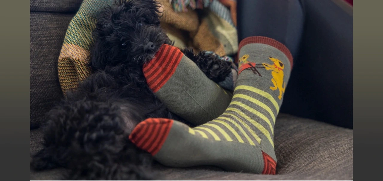 جوراب با تصویر حیوانات